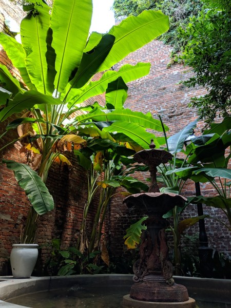 MVIMG_20181004_134521 (1)