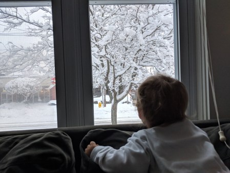 MVIMG_20190304_070529