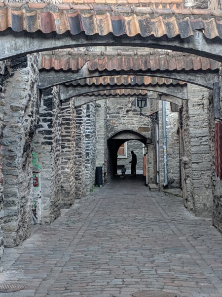 MVIMG_20190609_203024 (1)