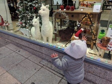 MVIMG_20181119_175446